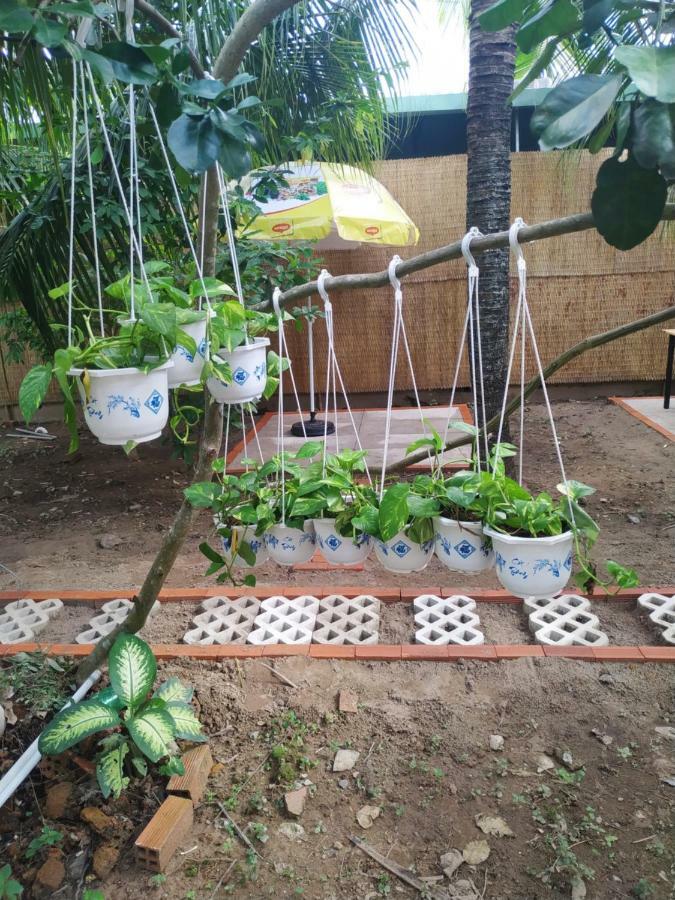 Mecong Homestay 벤째 외부 사진